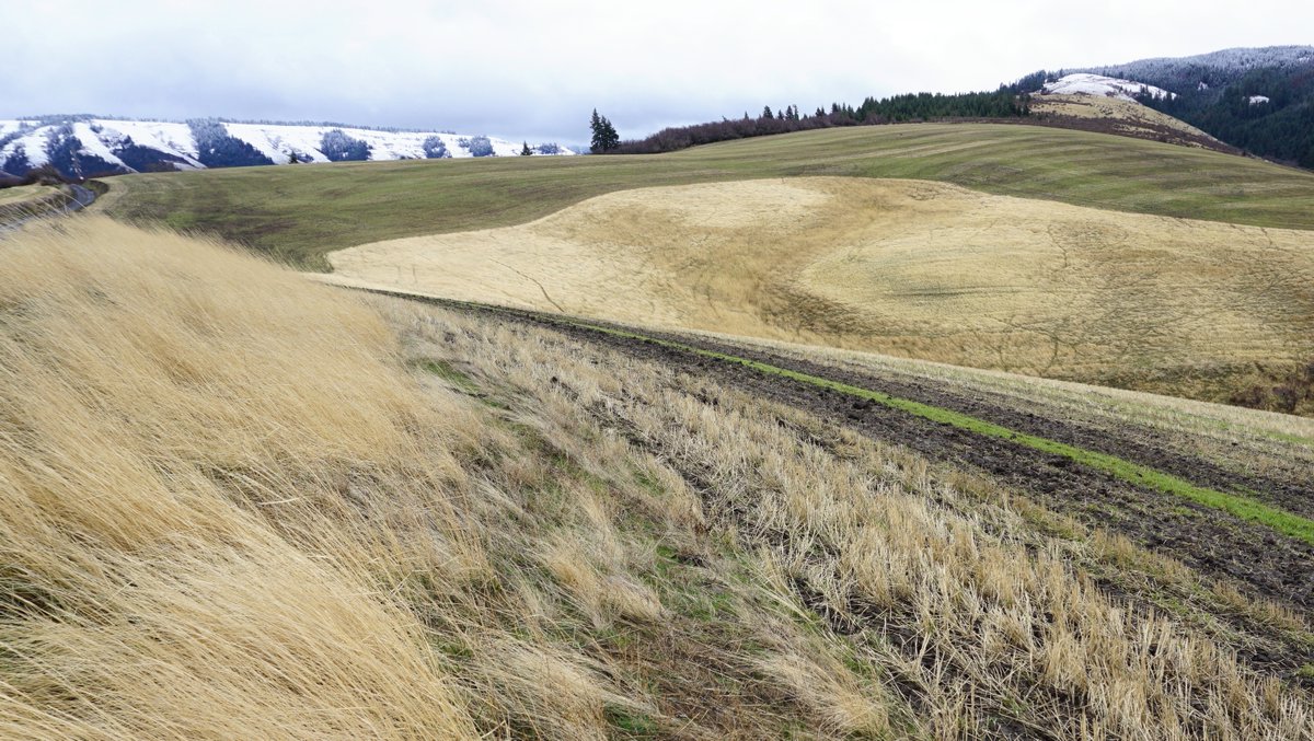 It's a wrap! Our first equity crowdfund closed to new investment on Thursday night. More on IG: 

l8r.it/7Gl4

#equitycrowdfund @craftedforall #mainstemforall #craftmalt <a href="/craftmalting/">Craft Maltsters Guild</a> #maltthatmatters #beertwitter #whiskey #regenerativeag #investinchange #bcorp