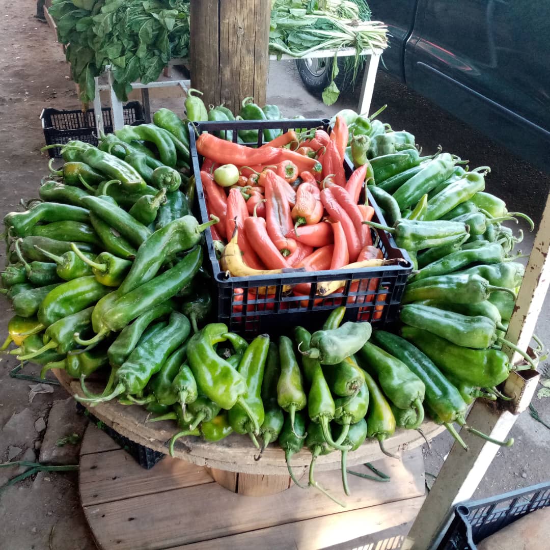 Panchonteabraza's tweet photo. Una flor de chile verde en la fruteria Contreras por El Mariachi #PanchonReporta https://t.co/Gn8C0xilyZ