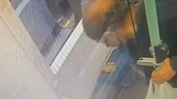 #boji ye iftira atan insan buymuş şimdi bu insan mı
Hayvanlara zarar veren insanlardan öyle nefret ediyorumki analtamam 
İşte böyleleri yüzünden insanlardan soğudum 
Sana çok şey söylemek istiyorum ama ağzımı bozmayacagim 
😡😡😡😡😡😡😡😡😡