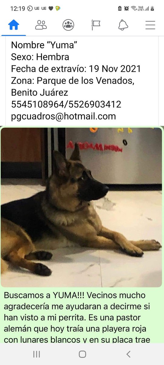LaNotaPositiva's tweet photo. SOS SE BUSCA “Yuma”
Hembra
Extravío 19 Nov 2021
Zona Parque d los Venados
Trae placa con datos y playera roja con lunares blancos @nydiacervera @LaCamadaNitinMx @raflescabrera @mascotasdifunde @Dcyon @eliassolorio @Emmanuel_Lazos @ERIFERCA @arcaDnoe @juanomarfierro @falconsarkis https://t.co/DNQBMRSnjq