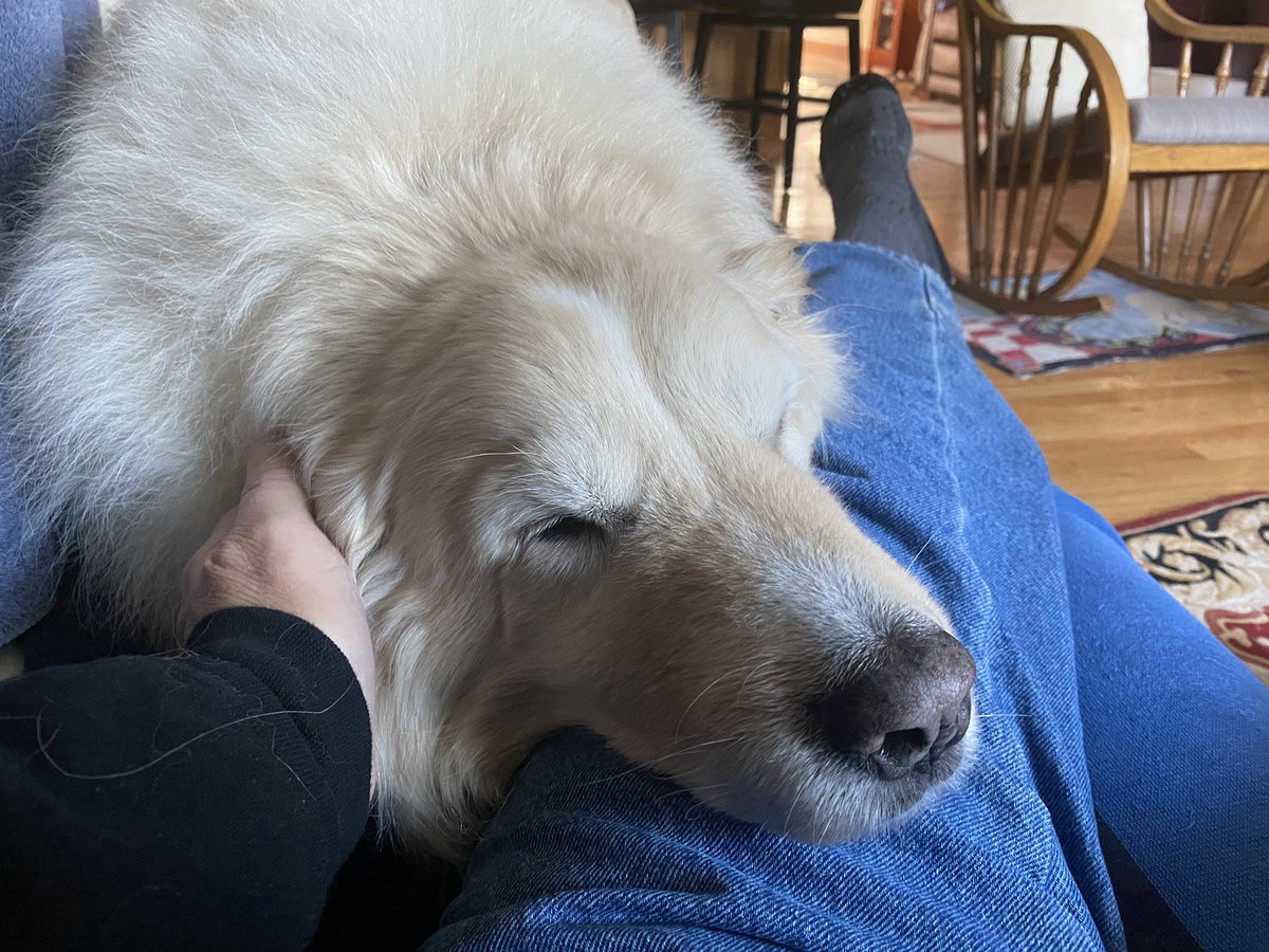 Bryan Marquard tweet media