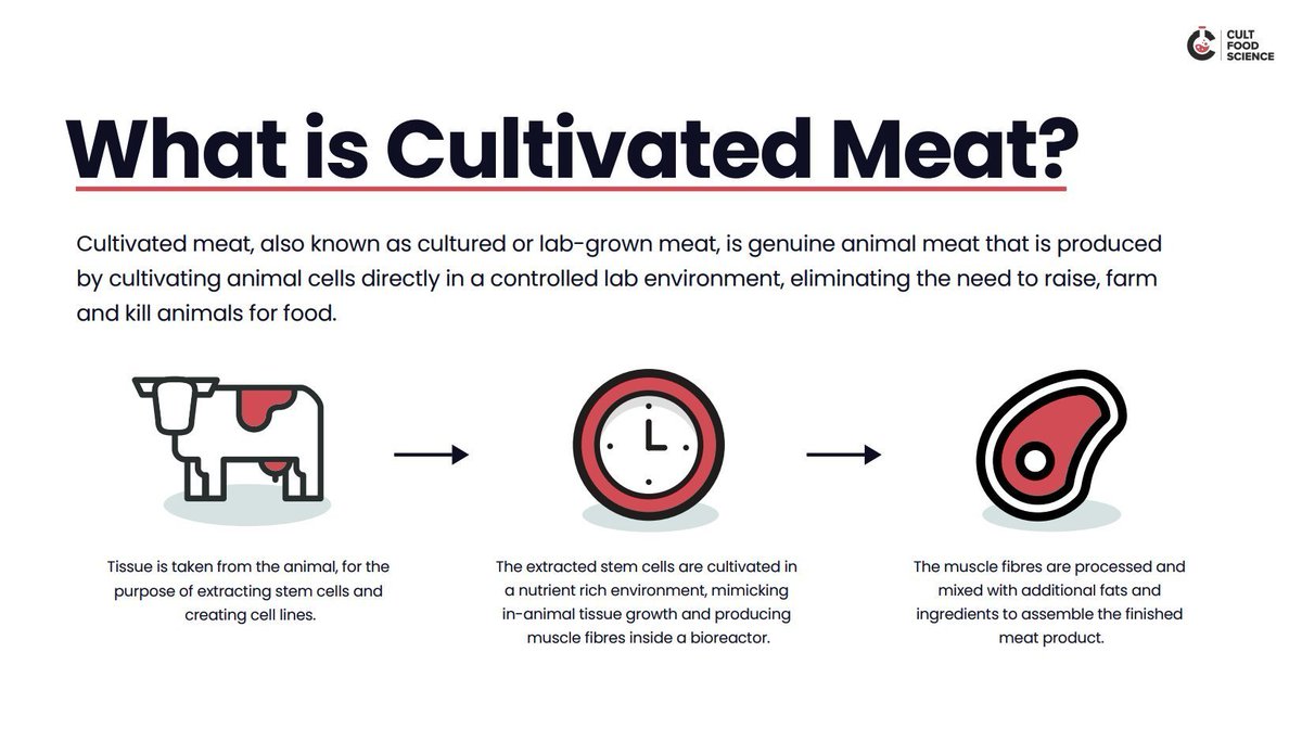 We are passionate about finding simple ways to explain complex ideas through design.

For our partner <a href="/CULTFoodScience/">CULT Food Science</a> we wanted to create a unique, clear explanation of what cultivated meat really is and how the scientific process actually works.

Here is what we built together: