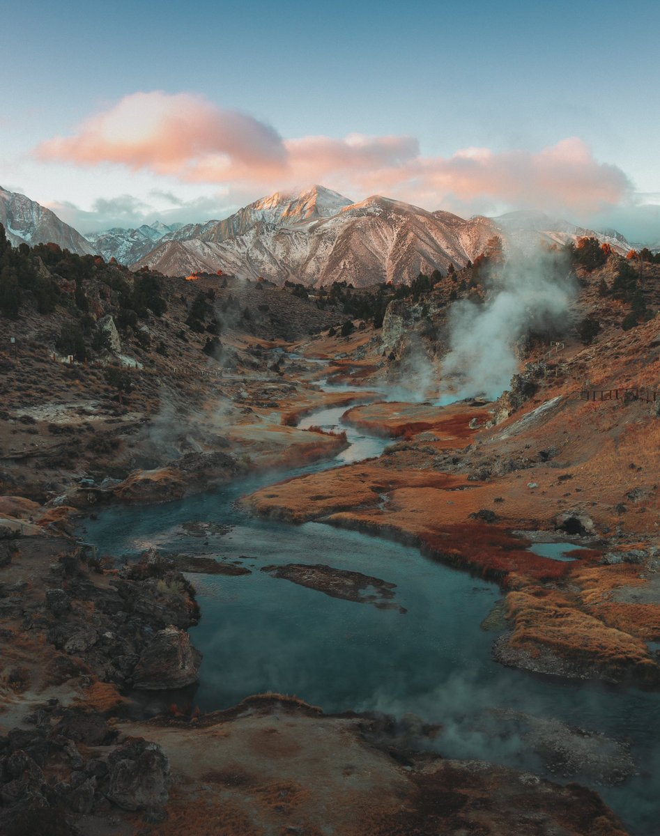 Jonah Moose tweet media