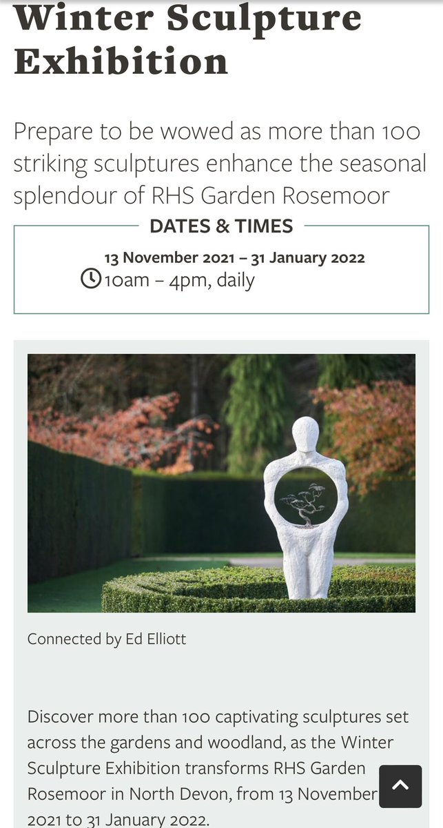 Very happy that 5 of my sculptures were chosen for this exhibition ⚙️🌸⚙️🌺⚙️🌼⚙️🌻⚙️