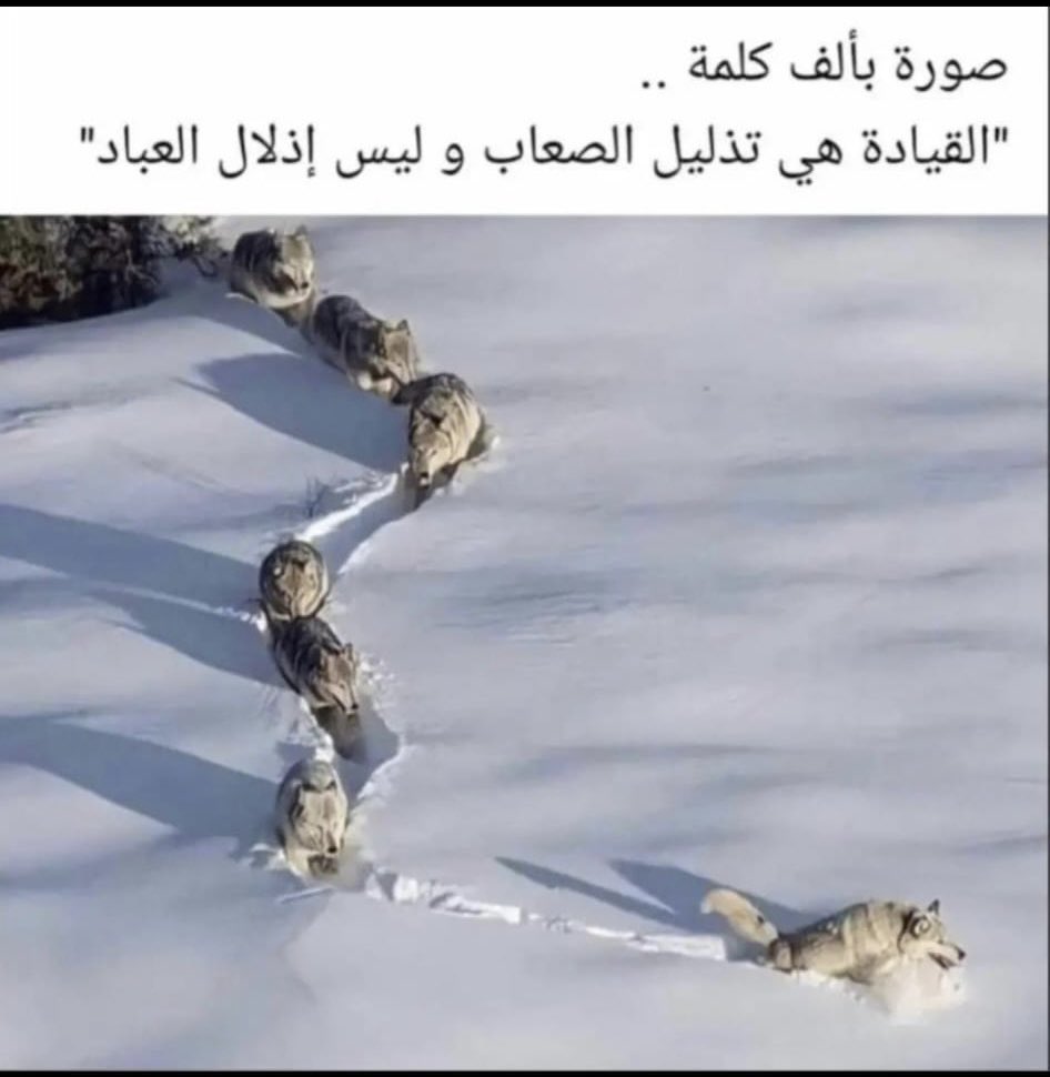 فيصل القاسم tweet media