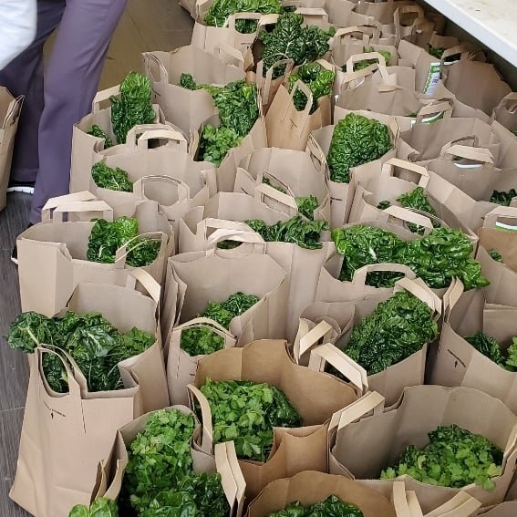 cpc_nyc's tweet photo. CPC Brooklyn Community Services continues to partner with GrowNYC to distribute fresh food boxes to community members! With our partner organizations and supporters, CPC has distributed over 200,000 lbs. of food since the pandemic began! #AdvancingourCommUNITY https://t.co/qVjfWaXDTt