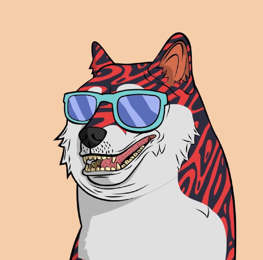 skateboater's tweet photo. @TheDogePoundNFT Awoooo 🥰 https://t.co/sm1UzWUM1I