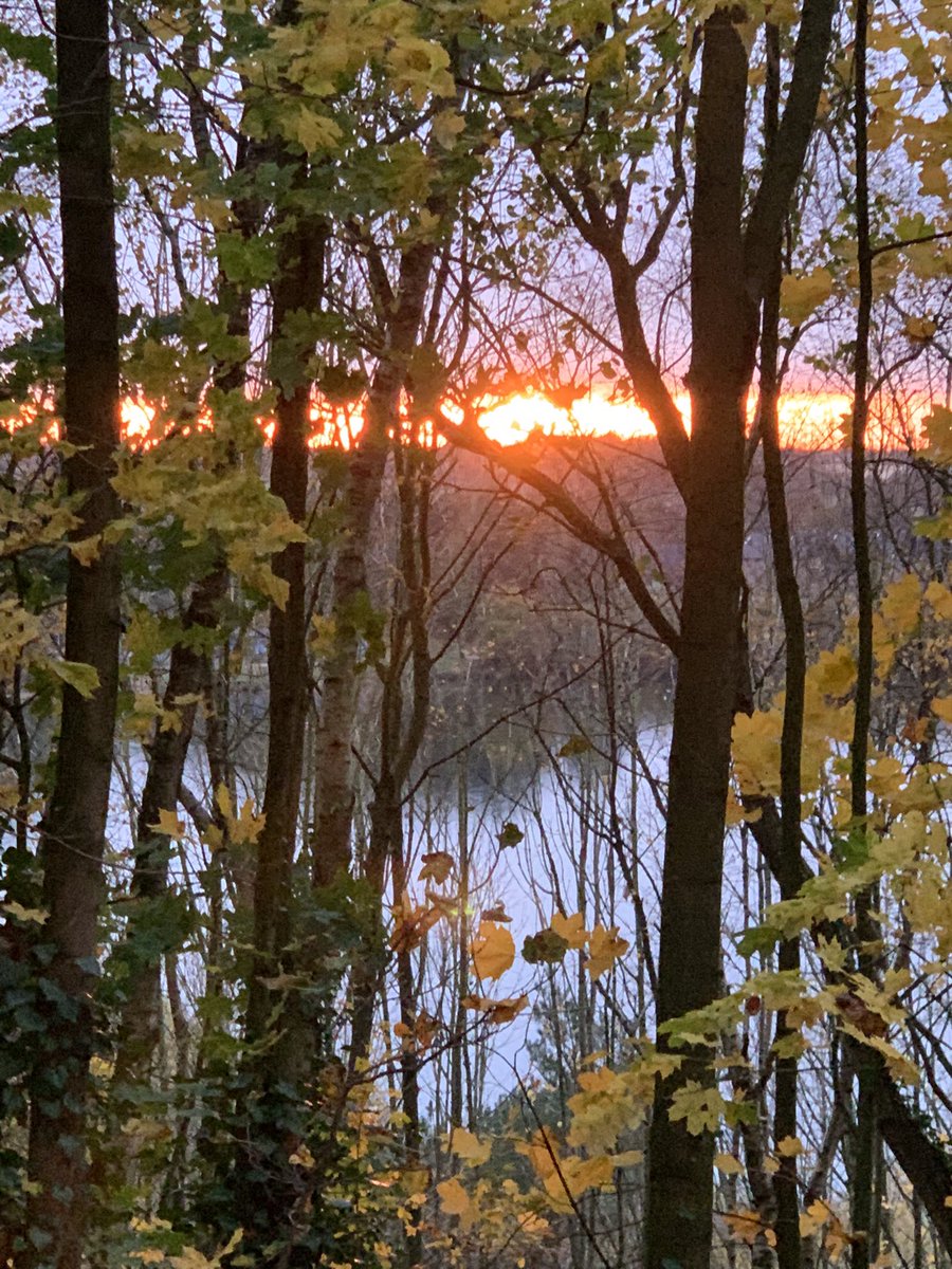 EmsyB12's tweet photo. Sunset strip looked like a fire @astbury_mere #Autumn https://t.co/MouU1H9LN0