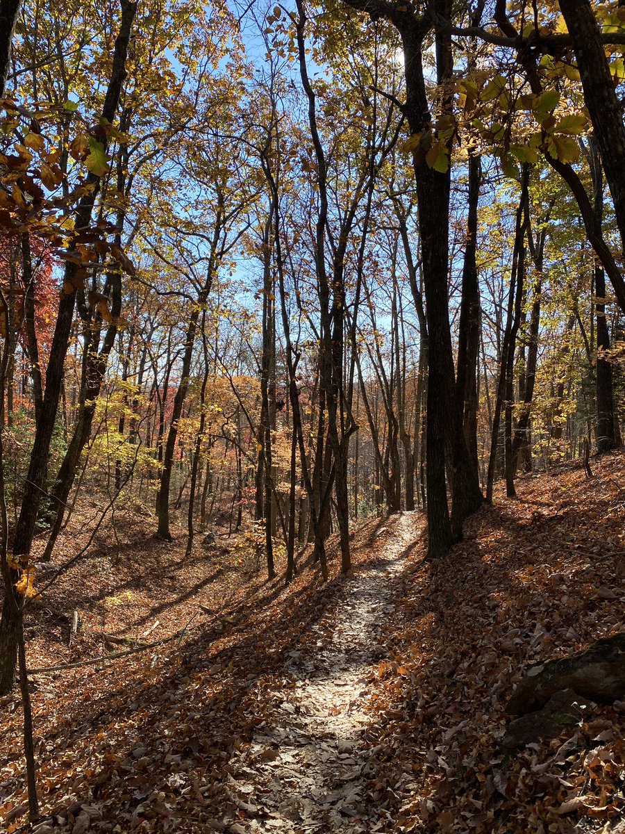 alisonrauch's tweet image. Did you know Paris Mountain State Park has a new trail? The new Sassafras Trail- a 2.3 mile loop is rated as moderate and offers a great escape from the real world. #neverstopexploring #gohiking
