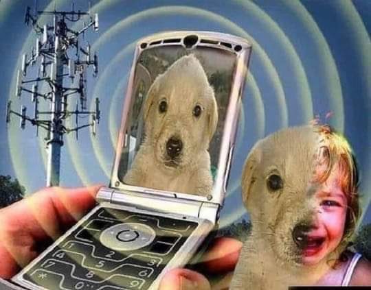 neural net guesses memes tweet media