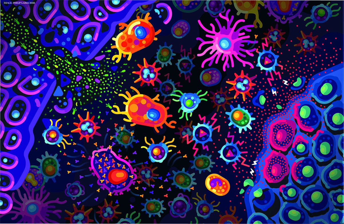 Science Magazine (@sciencemagazine) on Twitter photo A new book by Philipp Dettmer, creator of <a href="/Kurz_Gesagt/">Kurzgesagt</a>, charts the vast array of different immune cells, what they do, the way they communicate with each other, and what happens when things go wrong.
Read the review from <a href="/SciMagBooks/">Science Book Review</a>: fcld.ly/thzqbz1 A new book by Philipp Dettmer, creator of <a href="/Kurz_Gesagt/">Kurzgesagt</a>, charts the vast array of different immune cells, what they do, the way they communicate with each other, and what happens when things go wrong.
Read the review from <a href="/SciMagBooks/">Science Book Review</a>: fcld.ly/thzqbz1