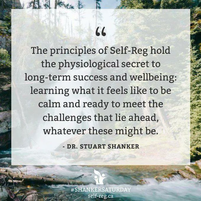 Self_Reg's tweet image. Do you know this feeling? The feeling of calm, and a readiness to meet life's challenges? Calm, yet powerful. 🦋 

#ShankerSaturday #EdResources #leadership #teaching #parenting