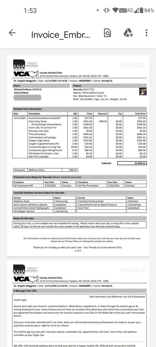 For anyone who was interested to verify, here is Hercules medical bill. Thank you to those who are sharing and donating to our GoFundMe. Every bit of your love is so appreciated 😻 #thankyou