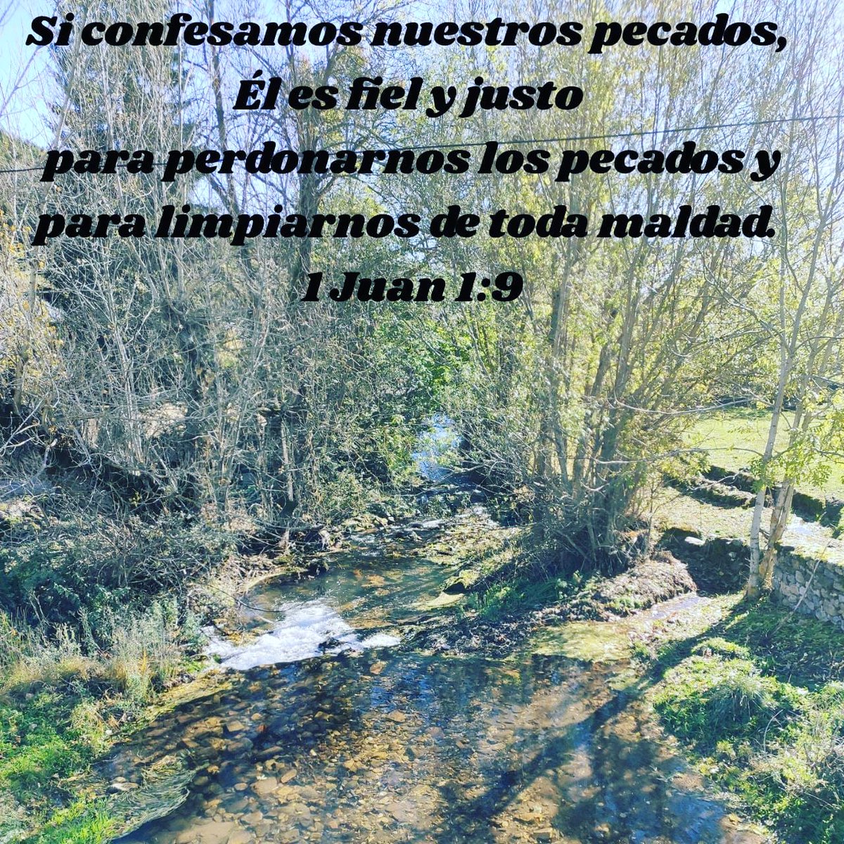 finalila's tweet image. #confesar
#fidelidad 
#justicia
#perdonados
#limpiados
#LaMajúa
#Babia
#ReservadelaBiosfera