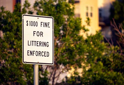 Imagine how quickly the plastic crisis would be solved if major polluters like Nestle, Coca-Cola, and Unilever were fined $1,000 for each piece of plastic with their name on it that was found littered in the environment.