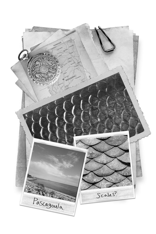 HexPublishers's tweet photo. SHADOW ATLAS is loaded with case files from the Umbra Arca Society that dive deep into some of the Americas' most chilling mysteries. Solve those riddles and more on November 30. Preorder your copy now: https://t.co/X14ktgsfWv
#ShadowAtlas https://t.co/wwGLFhr9Fr