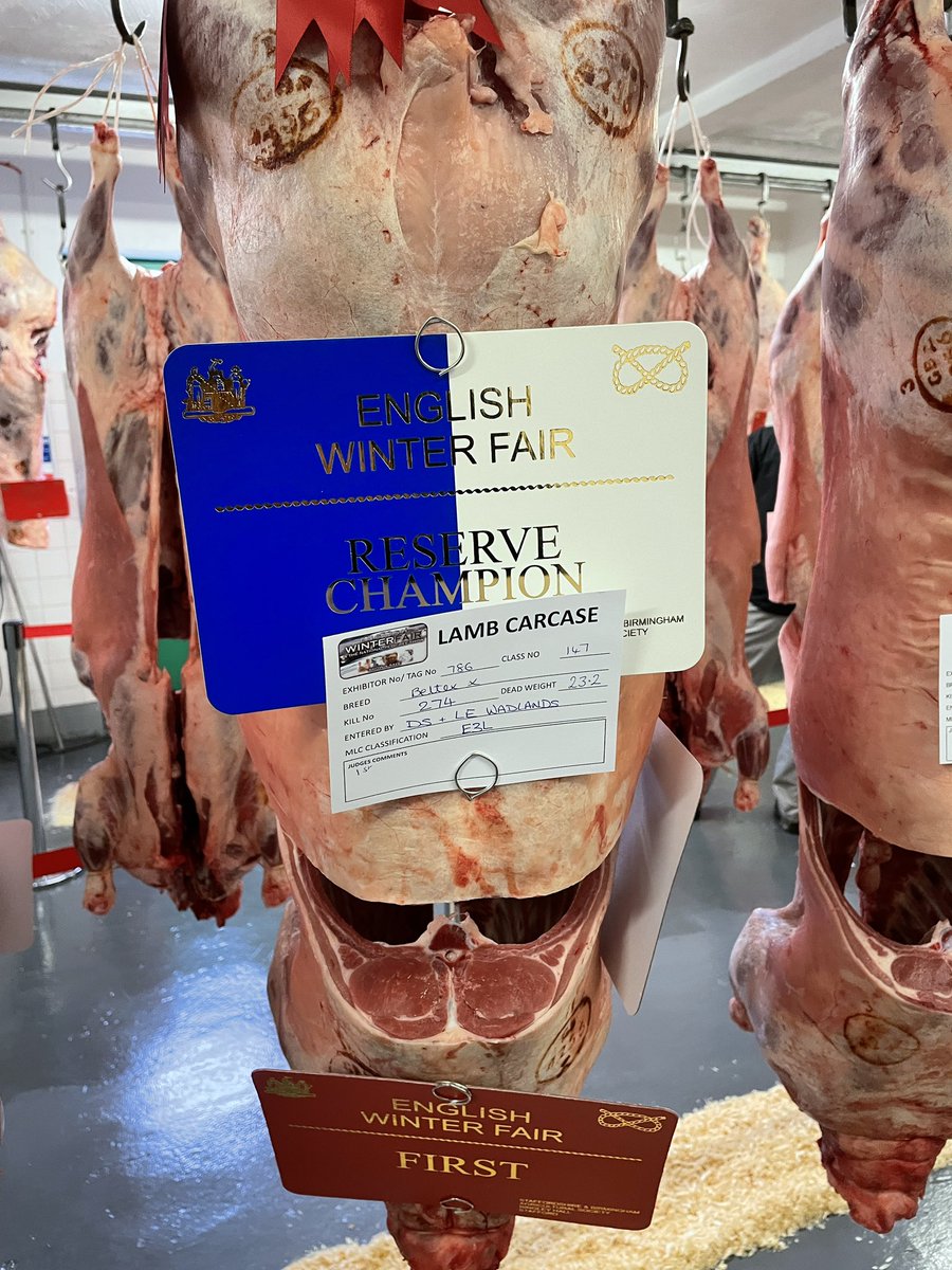 Beltex Sheep Society tweet media