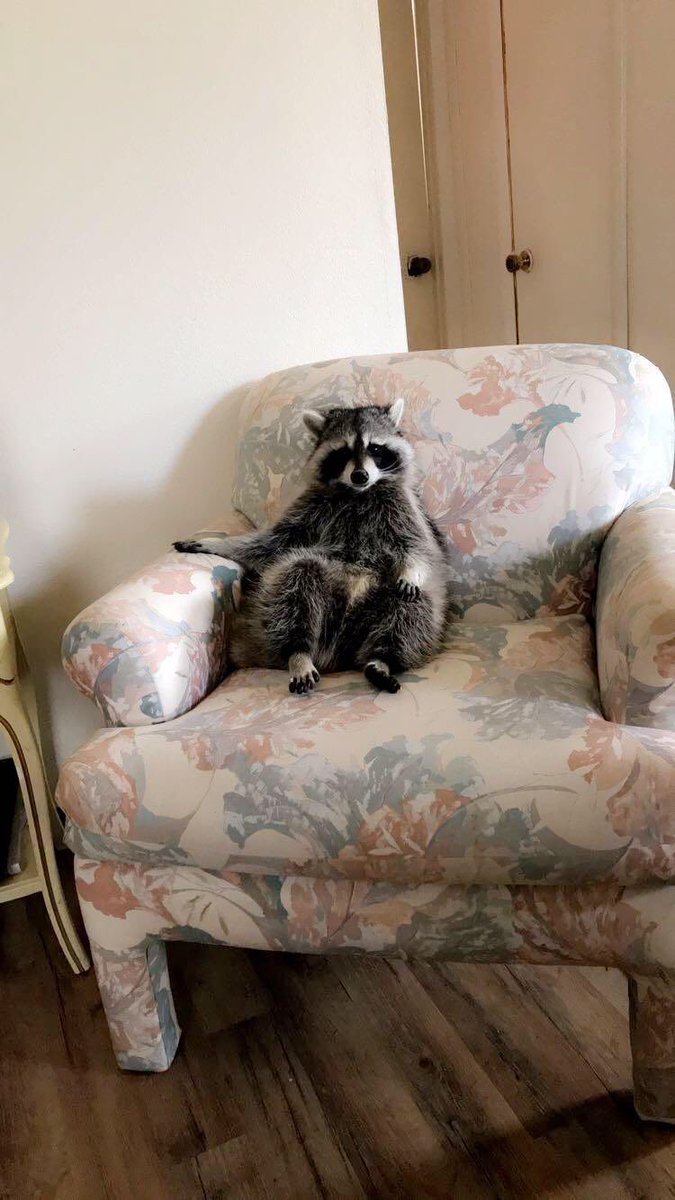 witch_mote's tweet photo. Is this Animal Crossing? https://t.co/VU923KPGa4