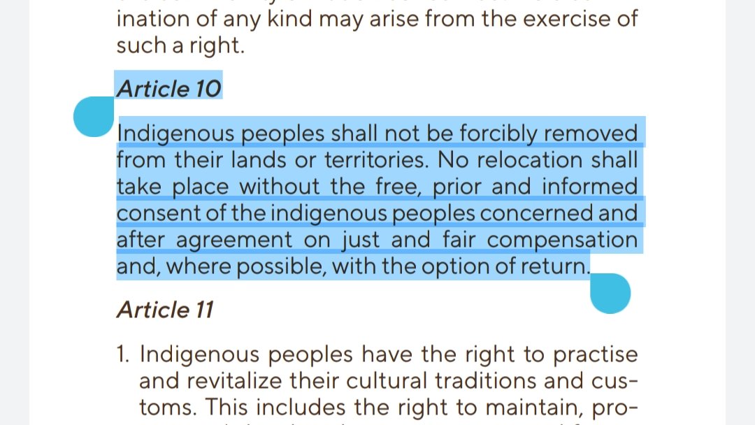 WordsandGuitar's tweet photo. Here's what UNDRIP *actually* says in regards to situations like what's happening at Wet'suwet'en, Fairy Creek, etc. 

Canada is NOT following any of this. We demand free, prior and informed consent - not governments hoping that RCMP don't use "lethal force" on us on our lands. https://t.co/DgKFjMjTeX