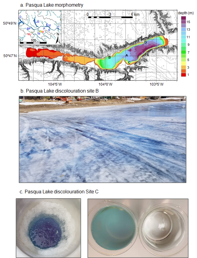 UofRLimno's tweet photo. Massive blue stain in lakes due to climate warming,  nutrients, and fall cyanobacteria. A warning sign for the future? OA from @HHaig and others in LRM  @NALMStweets @aslo_org @ESAAquatic @AGUbiogeo @AGUecohydro 1/2 https://t.co/2kE6hgvjCV
