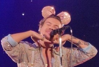 vodkaskys's tweet photo. “we can use this bear, we can use these ears, we can use this flower, or the boa, Because you’re gay”— Harry Styles https://t.co/mWvVG1B1xy