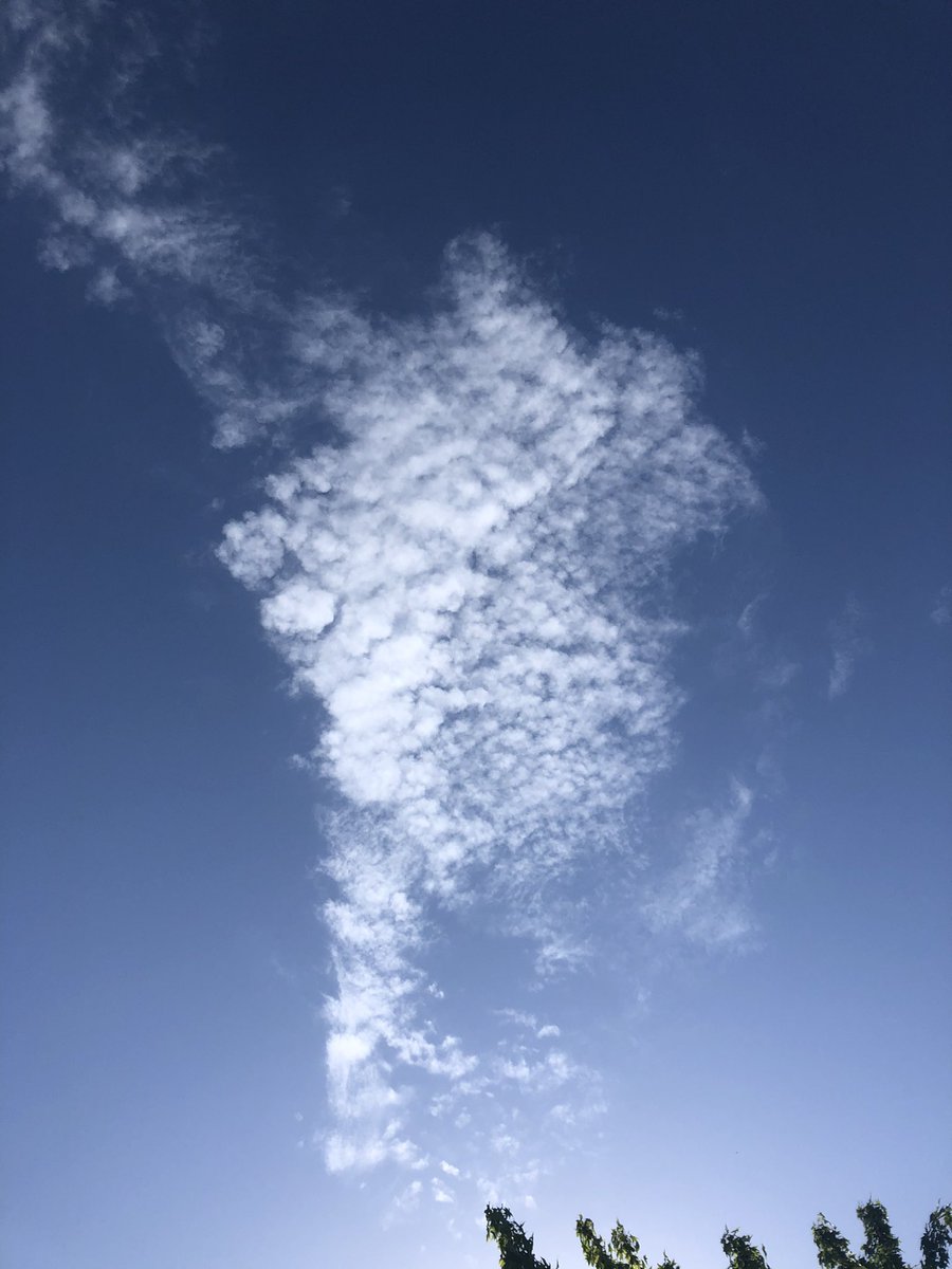 tetecafecito's tweet photo. MIREN le saque una foto a una nube y no me digan q no se parece a argentina https://t.co/NgL11TBRai
