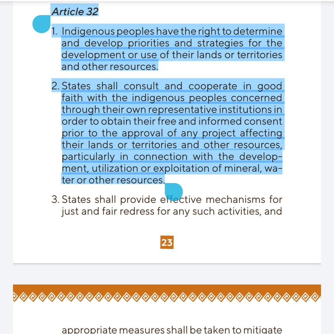 Here's what UNDRIP *actually* says in regards to situations like what's happening at Wet'suwet'en, Fairy Creek, etc. 

Canada is NOT following any of this. We demand free, prior and informed consent - not governments hoping that RCMP don't use "lethal force" on us on our lands.