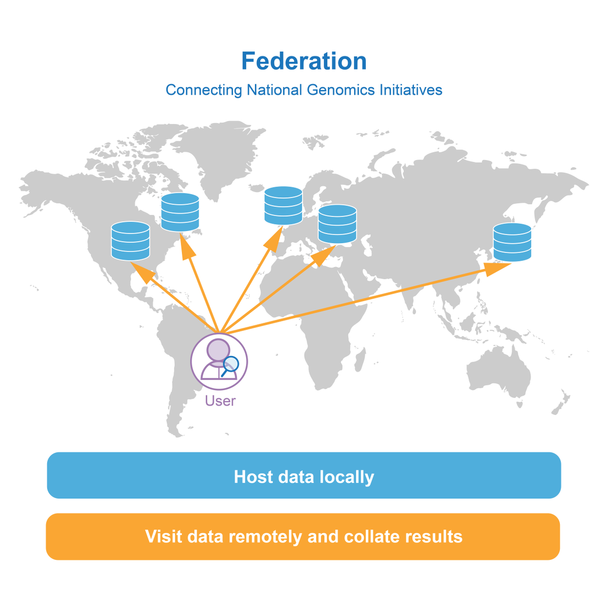 GA4GH's tweet photo. In @CellGenomics, authors present the organization’s perspective on the concept of federation, defined as a consortium of independent organizations that each host their own data in a secure, standardized manner so that users can responsibly access data. https://t.co/ZKWJMJuPE9 https://t.co/Mu6TEe8iPz