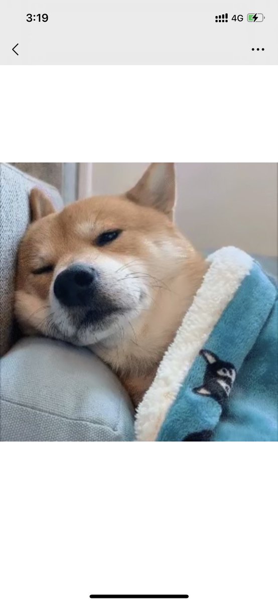 AiChen (@aichen808) on Twitter photo 