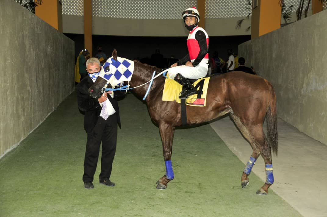 #EnFotos 📹 | "Champion Abarrio" (4) triunfó al galope en la 5ta. carrera y 1era. válida, con la monta de Yolabert Coa y entrenado por Rubén Lanz.

➡️ En el 2do. lugar arribó "Mr. Liguria" (6).

#Hipismo