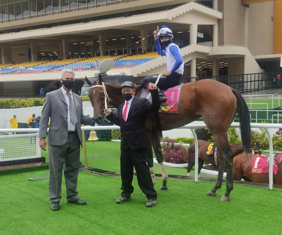 #EnFotos 📸 | En la 6ta. carrera del programa se llevó el triunfo "Grand Ma" (10) con la monta de Francisco Quevedo y entrenada por Luis Gómez.

➡️ En el 2do. lugar arribó "Royal Honey" (6).

#Hipismo
