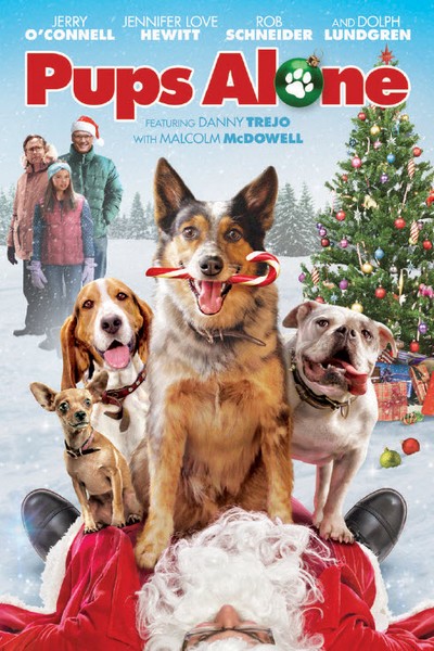 StarryMag's tweet photo. .@MrJerryOC and @TheReal_Jlh star in the new @Lionsgate film #PupsAlone! TWO WINNERS will get the film on DVD when they enter the @StarryMag #contest at https://t.co/IR4WNrbTcc! #giveaway #tistheseason #holidaymovie https://t.co/pzG4Bu7K8x