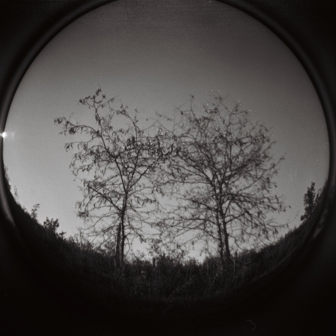 “The Twins” ♊️  An image I captured while experimenting with my Diana F and a plastic fisheye lens. 🎞 

#filmphotography #120mm #dianaf #lomography #heylomography #blackandwhitefilmphotography
#mediumformatphotography #blackandwhitephotography⁠