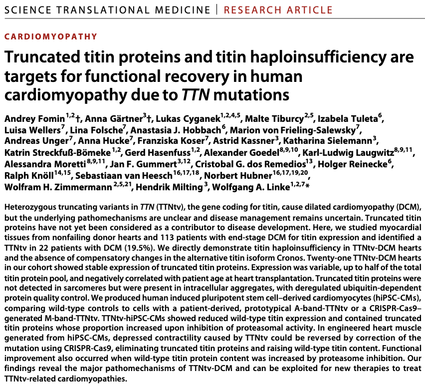 Pair of <a href="/ScienceTM/">Science Translational Medicine</a> studies imply that TTN truncating variants may contribute to DCM through both haploinsufficiency as well as accumulation of toxic titin truncated peptides 
science.org/doi/10.1126/sc…
science.org/doi/10.1126/sc…
(summarized nature.com/articles/s4156… <a href="/NatRevCardiol/">Nature Reviews Cardiology</a>)
