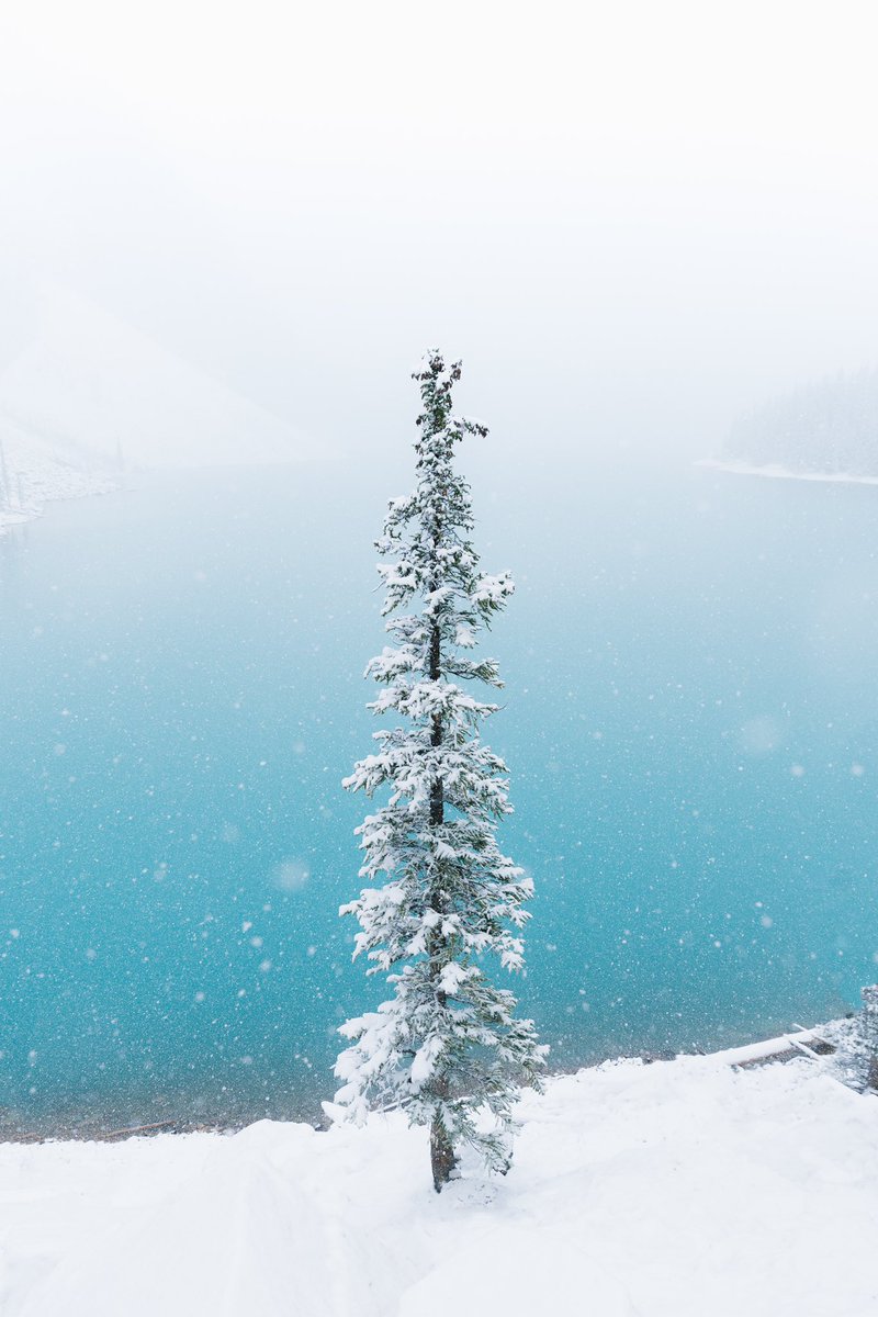 nathanaelbee's tweet photo. Lost in a snow globe ❄️ https://t.co/AfpIlQ91QI