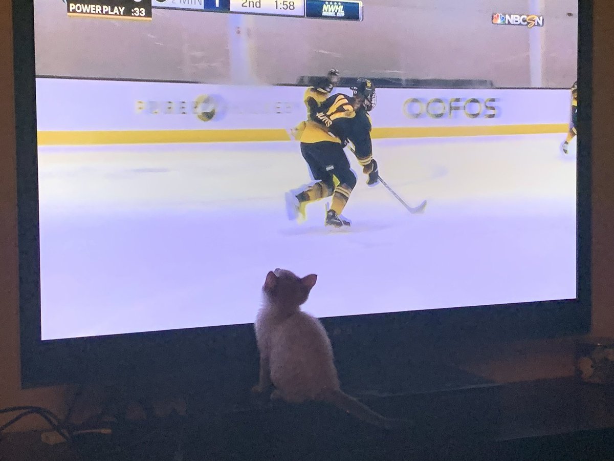 TitoandGordie's tweet photo. Gordie and I can’t wait to watch mommas games on @ESPNPlus this weekend #gomommy #gopride https://t.co/NqMkKYUFX1