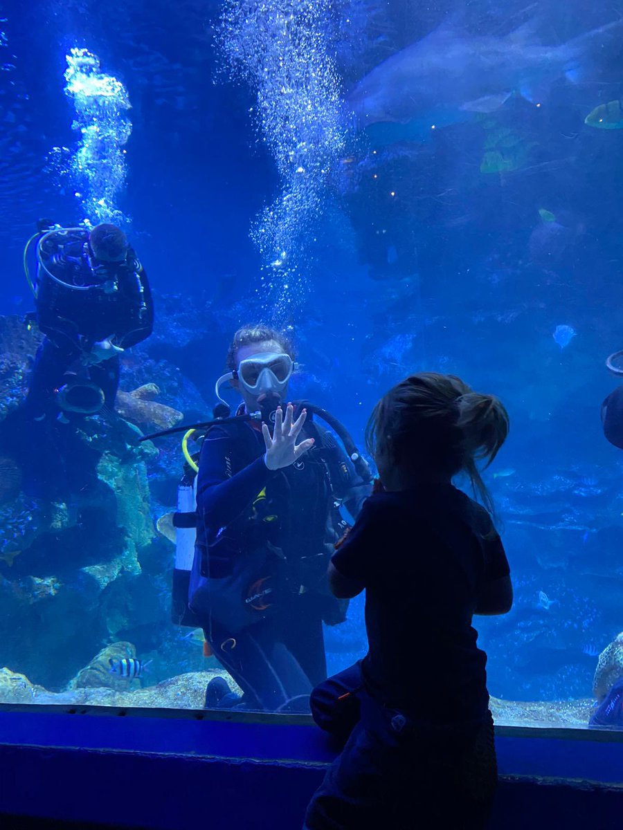 🦈🤿 Made it out alive and with all my limbs, can tick diving with sharks off the bucket list! 🤿🦈

What an amazing experience, thank you to everyone who donated and helped support <a href="/NYASServices/">NYAS (National Youth Advocacy Service)</a> and the young people who are so in need of their services.