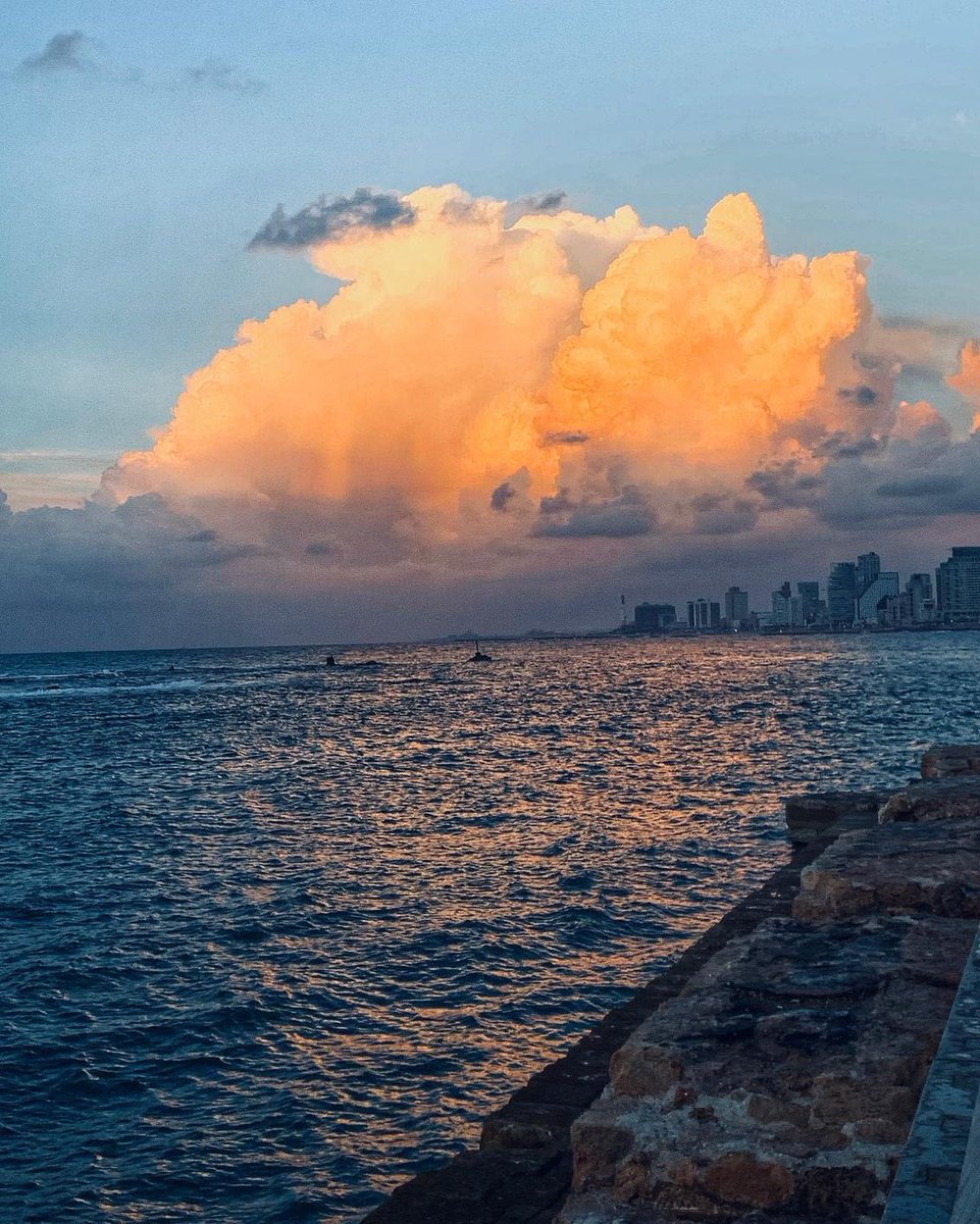 MuhammadSmiry's tweet photo. Yaffa, Palestine https://t.co/XJQlhAvl5Z
