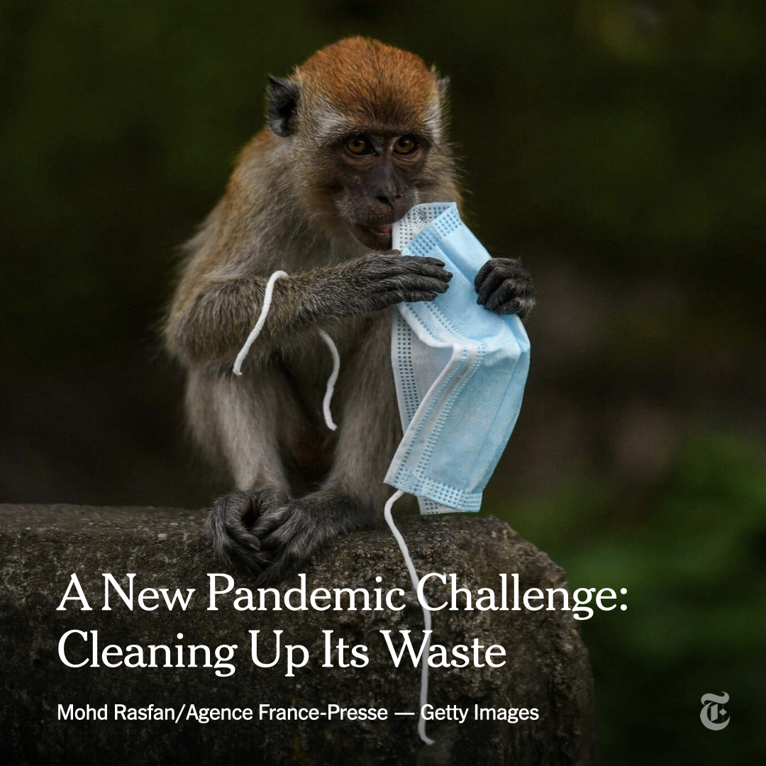 nytimes's tweet photo. The items that have been used to protect people from Covid are winding up in waterways and on streets around the world. Governments, businesses and environmentalists are now struggling to clean it all up. https://t.co/aaJb0RRcUF https://t.co/3IU7l4kK9v