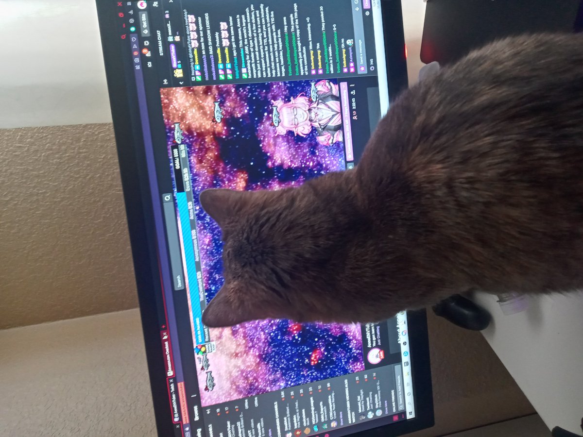 BlazeVtuber's tweet photo. @AnneLibbyVTuber @Isoitiro If my cat watches anne, SO SHOULD YOU!!! Come support diabetes with us!! https://t.co/k3g6qdvVSn
