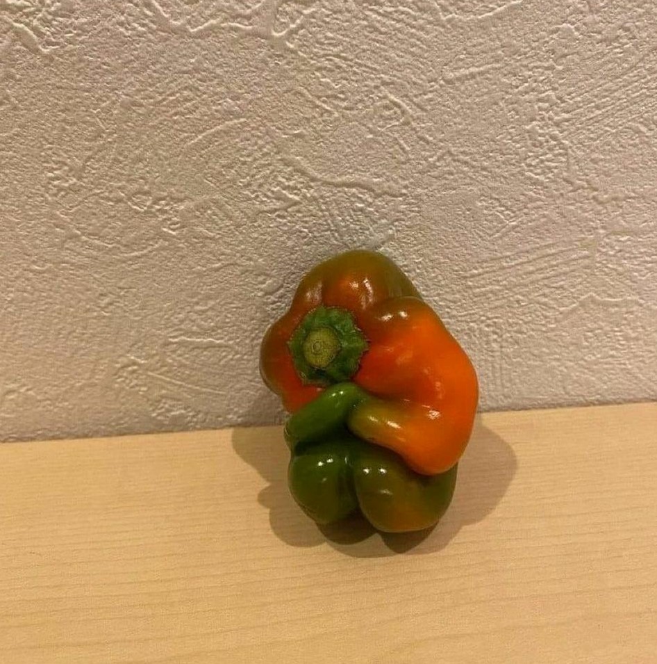 This pepper has seen some shit.