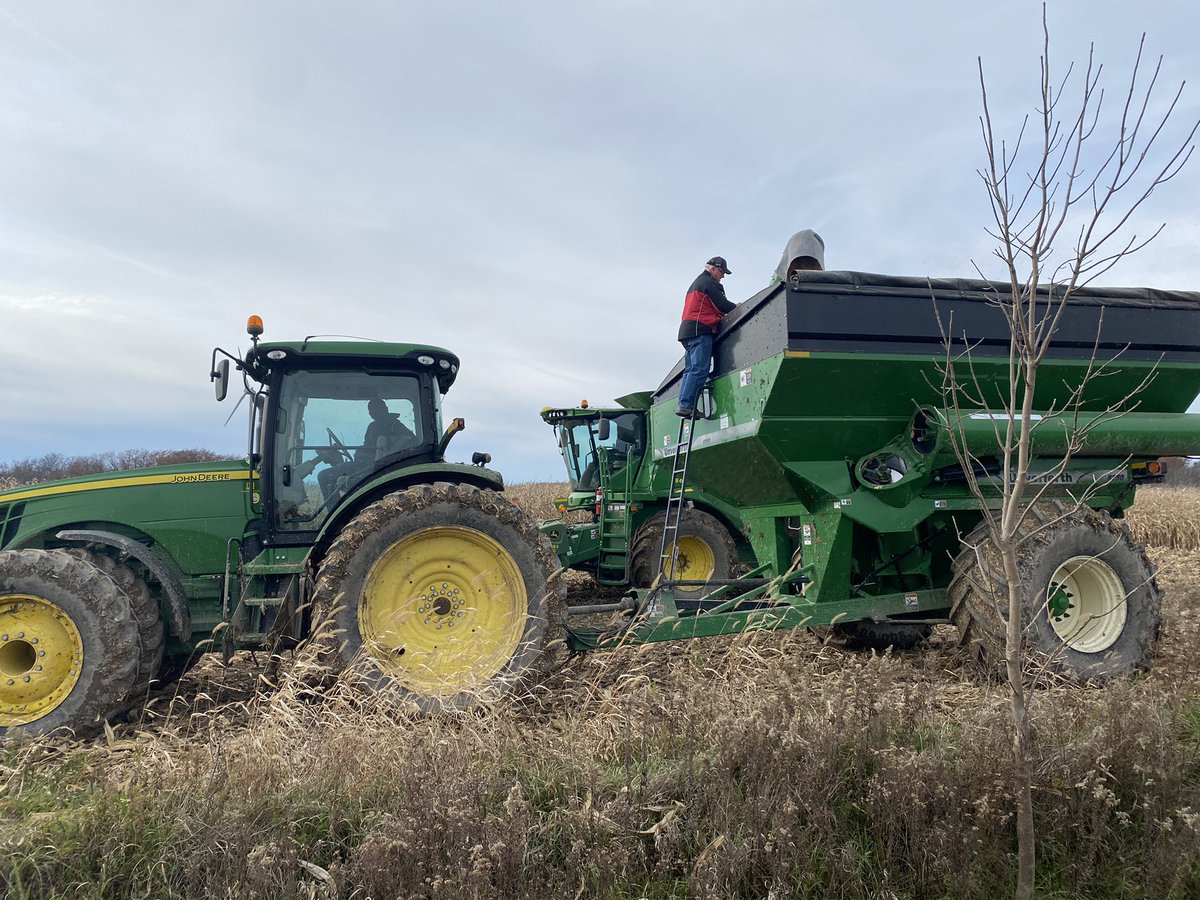 VitucciFarms's tweet image. @Brad_Hallock getting his exercise on the crisp November Saturday @PRIDESeeds  #ontag #cornplot #afterplotdonuts