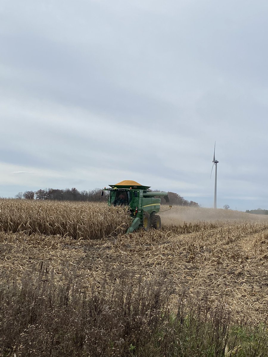 VitucciFarms's tweet image. @Brad_Hallock getting his exercise on the crisp November Saturday @PRIDESeeds  #ontag #cornplot #afterplotdonuts