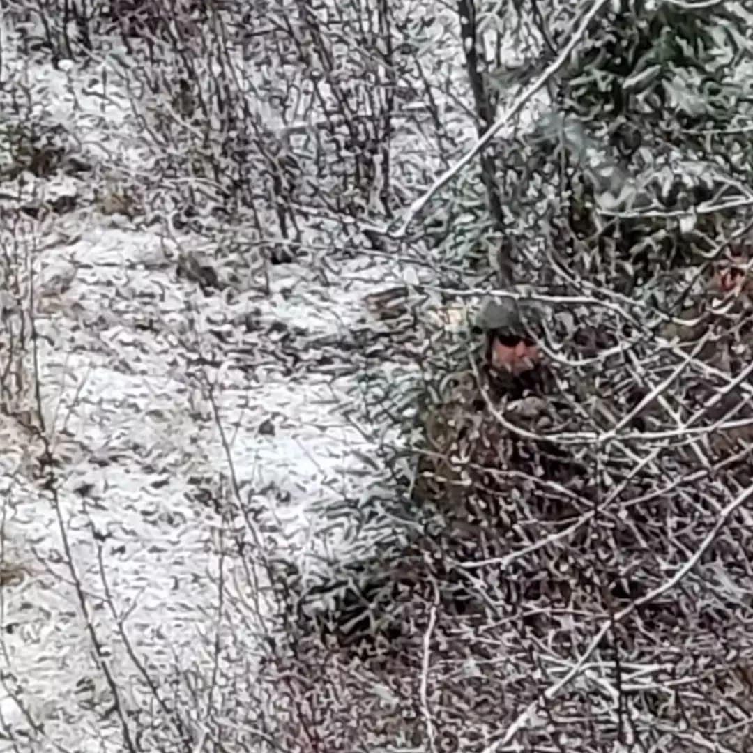 Reposted from Hakwilakw, our Matriarch: “I took this from the New Hazelton overpass yesterday.  To put this in perspective, not a single land defender is armed and dangerous and we are faced with armed snipers in the bushes.  CGL/TC energy militia.”