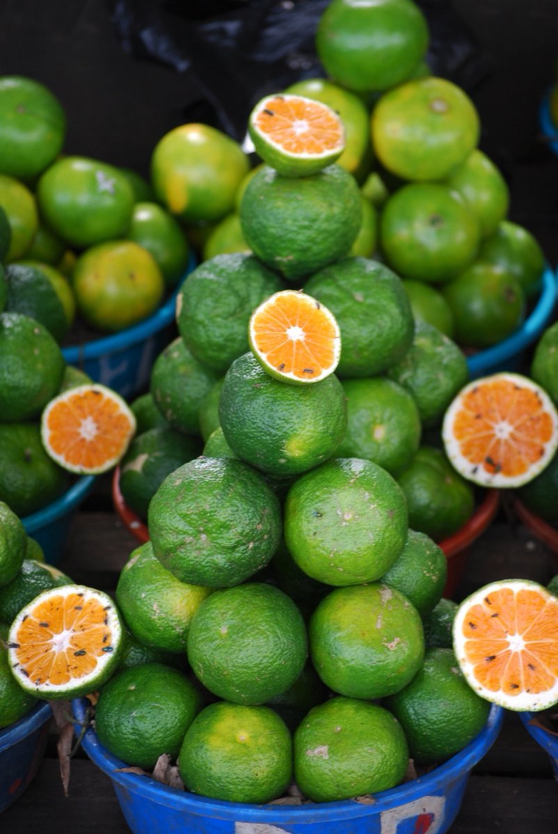 Апельсин в какое время есть. Мозамбик цитрус. Зеленый фрукт цитрус. Зеленый фрукт Тайланд. Маленький зеленый цитрус.