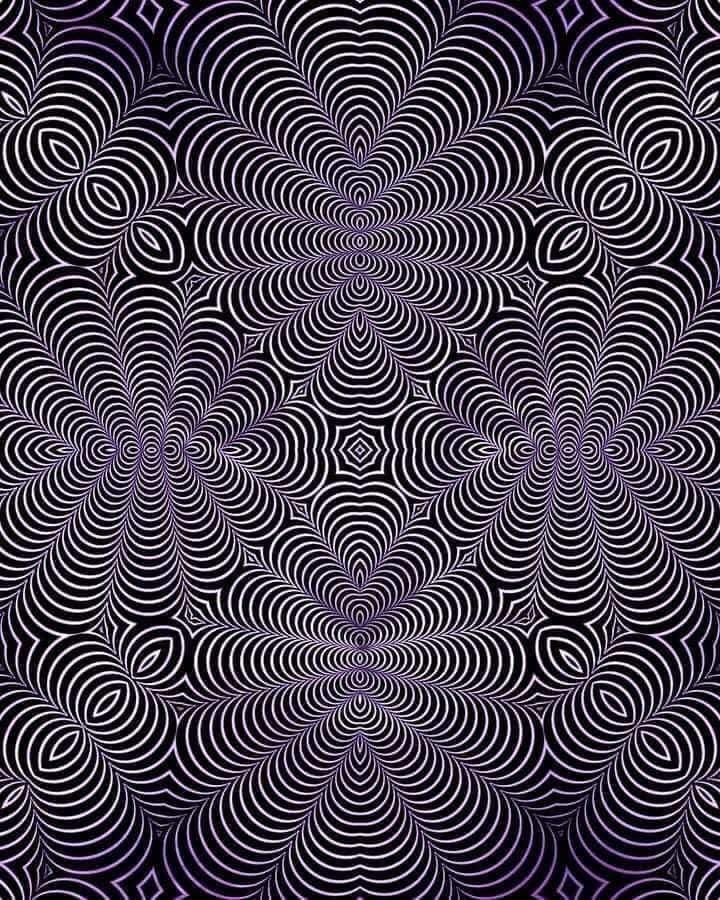 JacinthePayant's tweet image. What do you see?