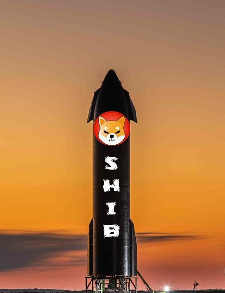 Shibainu4114u's tweet photo. #SHIB #SHIBROCKET #SHIBARMY 🚀🚀🚀🚀🚀 https://t.co/aHGAaZbfTM