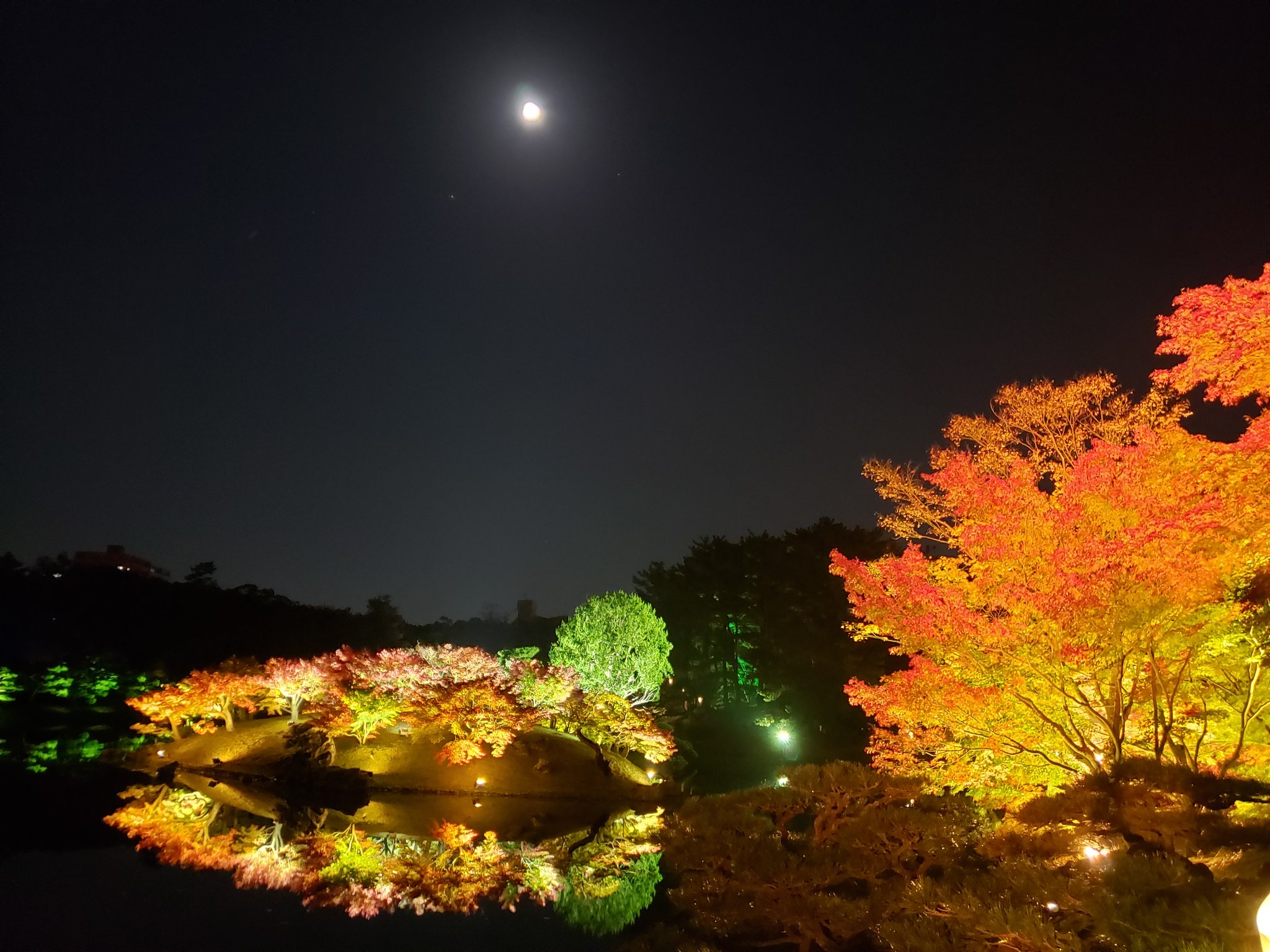 なっく 一部ちょいと密だったけど かなりキレイかった 栗林公園 ライトアップは11 28 日 まで 栗林公園 紅葉 ライトアップ T Co Mcr5r8otzq Twitter