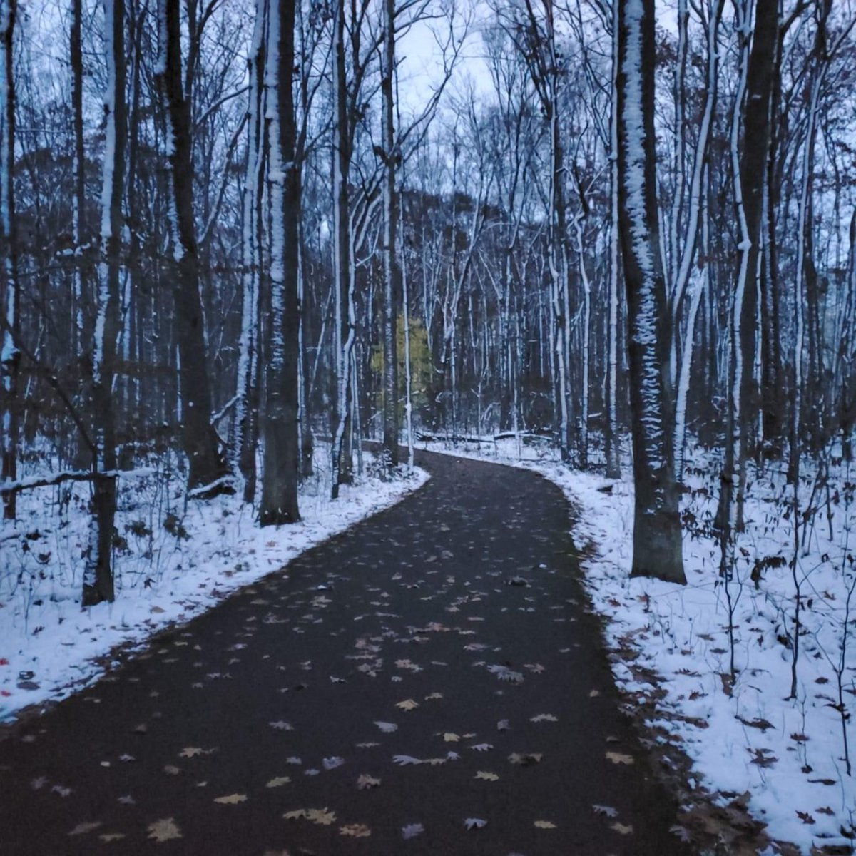 OleanNYChamber's tweet photo. The Allegheny River Valley Trail is a 5.6 mile recreational trail through Olean, Allegany and St. Bonaventure University campus is used for fitness activities such as hiking, running, biking, and in-line skating! #takeahike #gotrekking https://t.co/d0sjP6CqeC