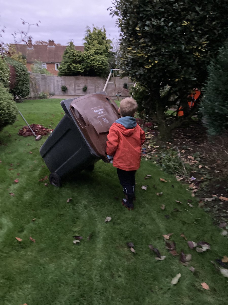 AuntyEmesis's tweet photo. Gardener available to hire. Reasonable rates, may find tall branches a tad tricky. Chats a lot. 🍂🍂🍁🍁 #Autumntasks #chiefleafcollector https://t.co/dgWCIBynqr